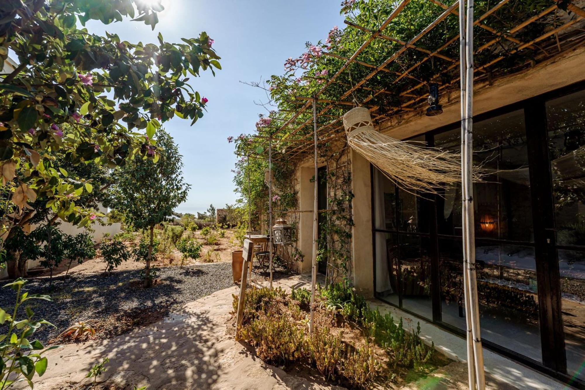 Hotel Ali Baba Chichte - Infinity Essaouira Exterior foto